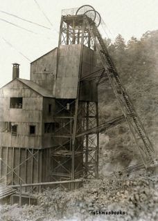 Coal Mine Tipple Elevator Shaft Gary West Virginia Miners 1908 Photo w