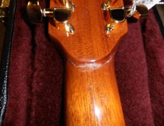 Giannini GWSCRA12 P Handcrafted Series Steel Craviola® Guitar