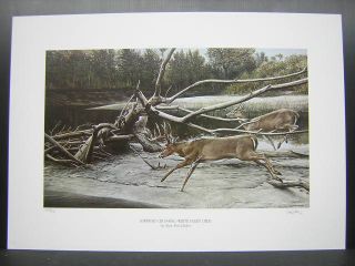 Ron Van Gilder Sandbar Crossing Whitetail Deer Print