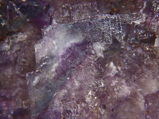 Museum 12Yellowpurpleblue Phantom Fluorite Crystals IL