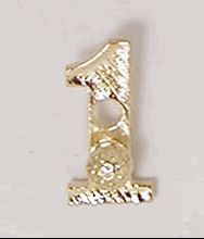 Golf Hole in One Tie Lapel Pin Cap Tac Gold Plate