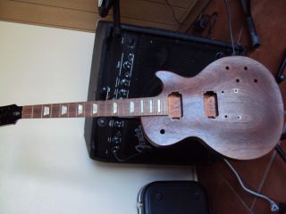 Gibson USA Les Paul Project Guitar