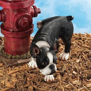 Gotha Go Joe the Peeing Boston Terrier Statue Figure. Home Decor Dog