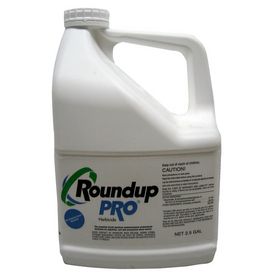 Round Up Pro Concentrate 50 2 Glyphosate 2 5 Gallon Jug Systemic