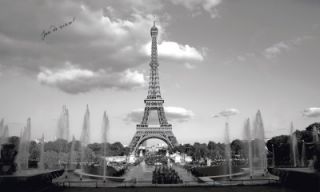 New XL Black and White Eiffel Tower Wall Mural Paris France Wallpaper