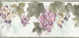 Wallpaper Border Tuscan Grapevine Grapes Watercolor