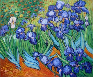 Framed Van Gogh Irises Field Repro, High Q. Hand Painted Oil Painting