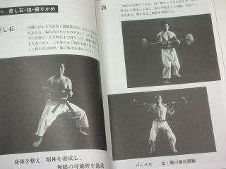 Okinawa karate Goju ryu book Martial arts japan kata kumite Tensho