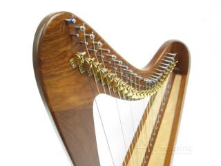  QUALITY ROUND BACK 24 STRINGS ROSA HARP ~ FULL LEVERS ~ 2 BOOKS FREE