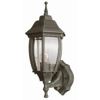 TransGlobe Lighting Outdoor Wall Lantern with Beveled Glass Shade