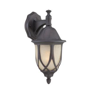 Thomas Lighting Wiltshire 13.5 1x100W Outdoor Wall Lantern in Painted