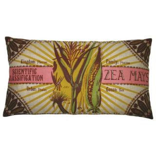 Koko Company Botanica 15 x 27 Linen Pillow with Zea Mays Print