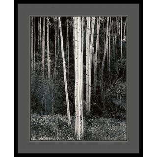  Aspens by Ansel Adams, Framed Print Art   33.04 x 27.04   DSW01385