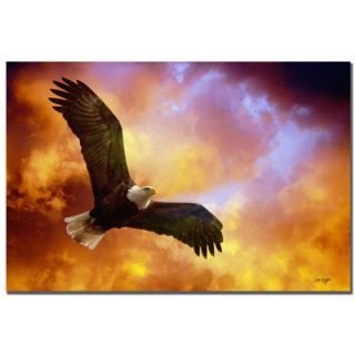  Flight of the Eagle by Lois Bryan, Canvas Art   22 x 32