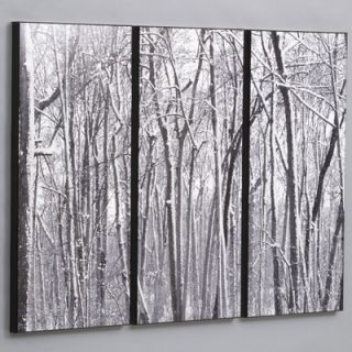  Snow Covered Woods Laminated Framed Wall Art Set   36 x 48