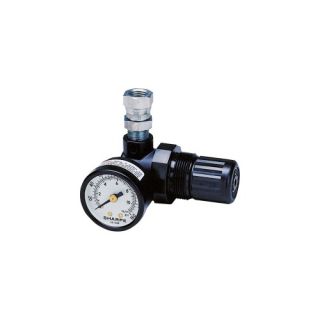 Regulator Air 22Cfm Mini Gauge 0 160Psi