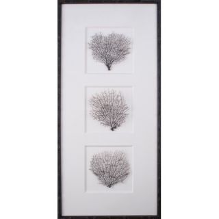 Mirror Image Home 37.75 Tryptich Sea Fans Art