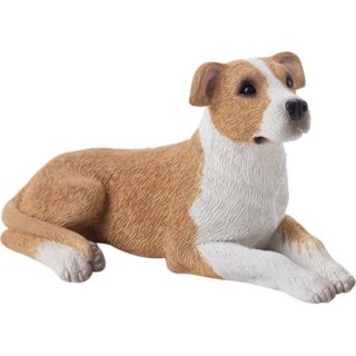 Sandicast Small Size Pit Bull Terrier Sculpture in Fawn / White