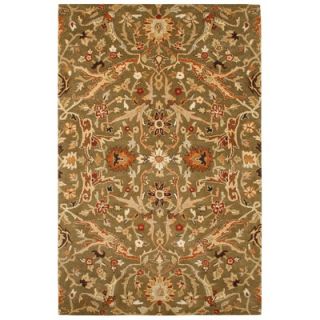Rizzy Home Destiny Brown/Green Rug   DT 991