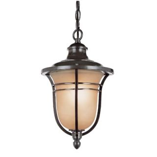 TransGlobe Lighting One Light Outdoor Hanging Lantern in Rubbed Oil