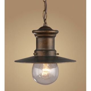 Elk Lighting Maritime Outdoor Hanging Lantern in Hazelnut Bronze and