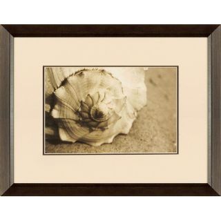 New Century Picture Conch by Schick Wall Art