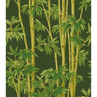 Brewster Home Fashions Echo Design Bamboo Wallpaper   566 43980