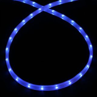 American Lighting LLC Mini Rope Light in Blue   LED MDF 12V BL