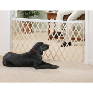 Evenflo 60 Expansion Swing Gate