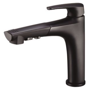 Danze Taju Single Handle Pull Out Kitchen Faucet   D456710S
