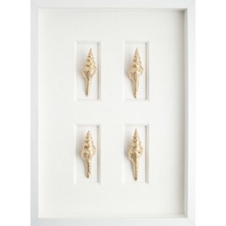Mirror Image Home Spindle Shells Art   30114 / 30115