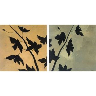 Phoenix Galleries Blossoms Canvas Transfers   Blossoms Series