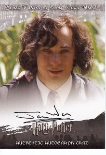 Harry Potter OOTP James Walters as Young Sirius Black
