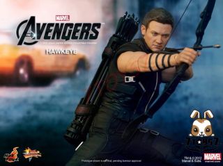 Hot Toys 1/6 Hawkeye_ Box Set _The Avengers Marvel Clint Barton NOW
