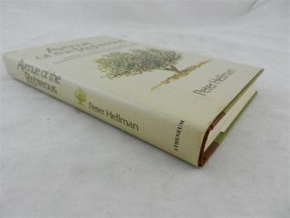    AVENUE OF THE RIGHTEOUS BY PETER HELLMAN 1980 1ST EDITION