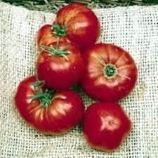 omar s lebanese tomato heirloom fresh seeds