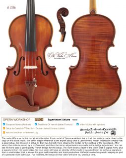 Hellier Strad Violin 1336 Pro Best Model 1 PC Back