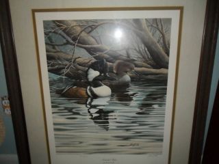 Ducks Unlimited Harold R Roe Secluded Water Print Ed Signed Numbered