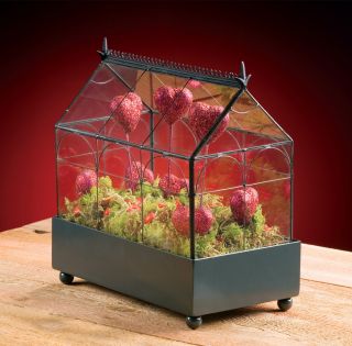 Glass Terrarium Wardian Case Display Plants Christmas Gift Herb Garden