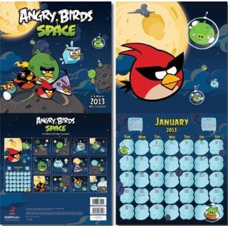 Angry Birds   Space 2013 Wall Calendar