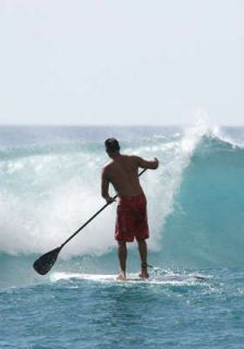 Local Milwaukee One Hour of Paddleboarding or Paddleboard