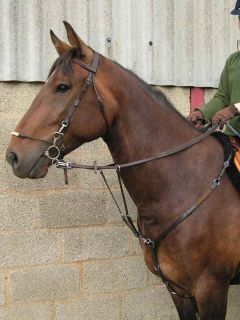 Also shown with a Chestnut CS Sherborne Clip Bridle (Ex noseband) and