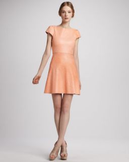 Boat Neckline Seamed Dress  