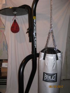 Everlast Heavy Bag and Stand wth Speed Bag