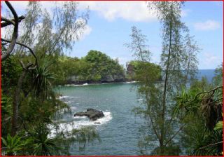 mile scenic drive by s young holualoa big island