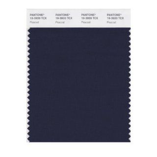 PANTONE SMART 19 3920X Color Swatch Card, Peacoat   