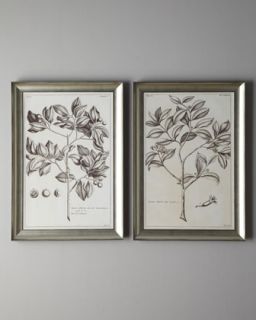 Frames   Accents   Home   