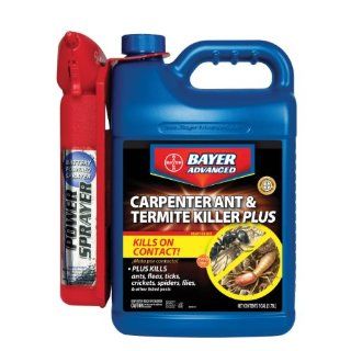 Bayer Advanced 700335A Carpenter Ant and Termite Killer