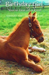Colt Baby Horse Happy Birthday Greeting Card