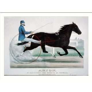 Historic Print (M) Arion by Electioneer, dam Manette by
